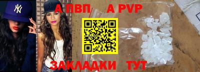 шишки Ярославль